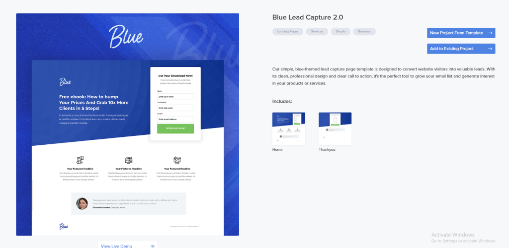 Blue Lead Capture 2.0 Template